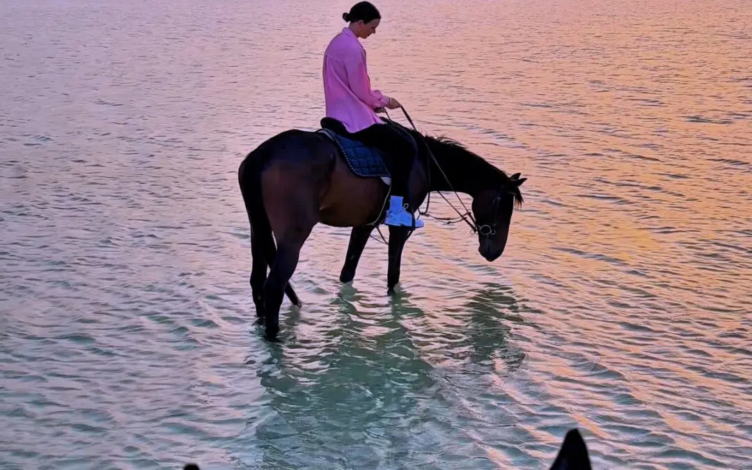 13 Amazing Things to Do in Bahrain